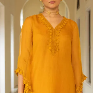 Organza Suit Set in Mustard